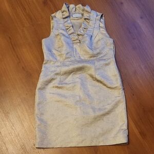 Beautiful RONNI NICOLE DRESS